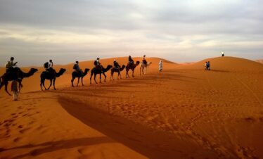  Camel Riding